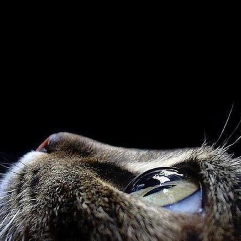 Meet your Posher, Jean